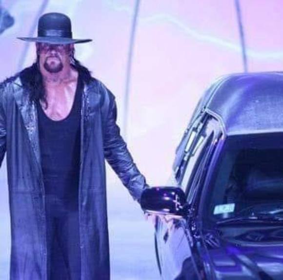 Meet your Posher, Patrick - Picture 1 of 1